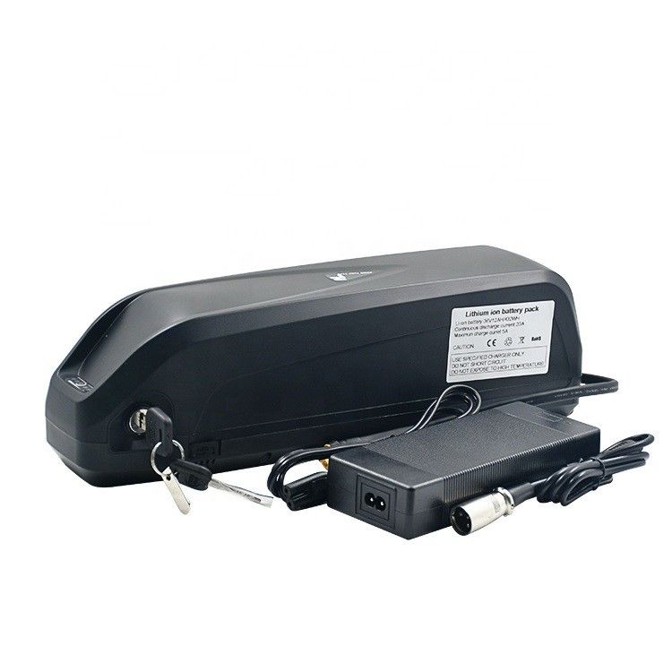 Ersatz Hailong 48V 1000W Elektrofahrzeugbatterie mit Ladegerät E-Bike Ersatz Lithiumbatterie