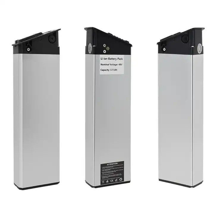 Hochwertige Silberfischbatterie 48V 20ah Lithium-Ionen E-Bike Batterie für 1000W Elektro-Bike Ebike Akku