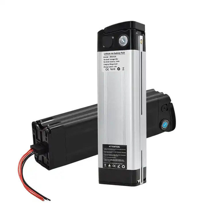 Hochwertige Silberfischbatterie 48V 20ah Lithium-Ionen E-Bike Batterie für 1000W Elektro-Bike Ebike Akku